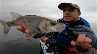 PESCANDO E PRESERVANDO - NITERÓI * RIO DE JANEIRO