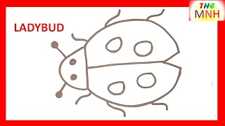 How to draw a cute Ladybug | Easy Drawing for Kids