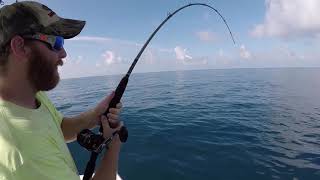 Sailfish and Amberjack off Anna Maria - Flat Calm!