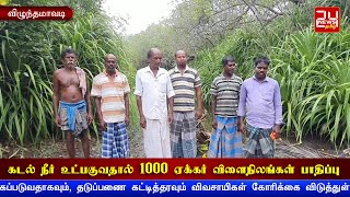 நாகை அருகே கடல் நீர் உட்பகுவதால் 1000 ஏக்கர் விளைநிலங்கள் பாதிப்பு