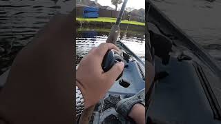 Spinner for dinner! #shortsfeed #shortsvideo #shortsfishing #shortsviral #shorts #kayak