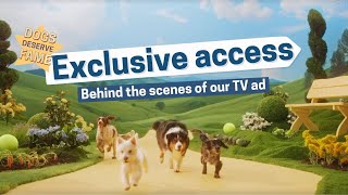 Exclusive Access: Dogs Deserve Fame Winners Journey to Fame