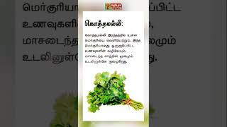 கொத்தமல்லி பயன்கள் #tamil #trending #செய்திகள் #ஆன்மிகம்