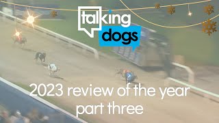 Talking Dogs 2023 Review Of The Year Part Three