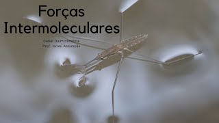 Forças Intermoleculares I