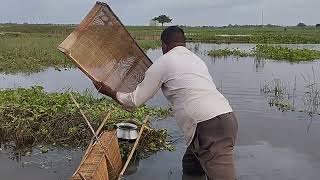 Amazing Fishing Using bangla Duari - Best Fishing Technology -Traditional Boy Catching small fish