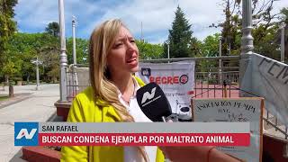 San Rafael: Proteccionistas buscan condena ejemplar por maltrato animal