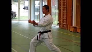 Kagawa-sensei demonstrates a part from the kata Bassai-dai