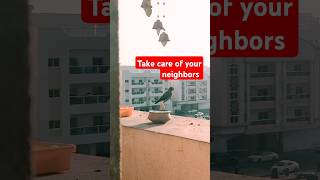 Take Care of your neighbors #birds #wildanimals