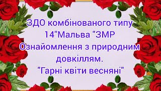 Ознайомлення з природним довкіллям