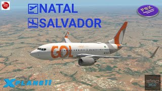 [*** XPLANE11 ***] [IVAO] BOEING 737-800 | SBSG (Natal) ✈ SBSV (Salvador)