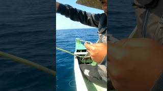 Labayan #shorts #Fishing #Seacreatures #Viral #Trending