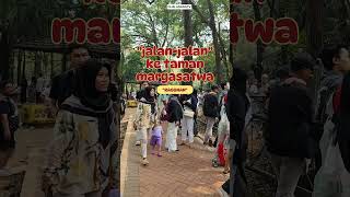 WISATA DI KEBUN BINATANG RAGUNAN JAKARTA,LIHAT JERAPAH#shorts#zoo#jerapah