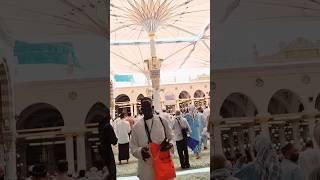 Masjid NABVI inside view|| Latest VEDIO Masjid NABVI || #viral Madina 08-06-2024