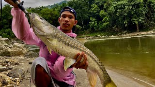 Golden mahseer 🎣Fishing❤️with New Rod,😀 Lure for Golden Mahseer  Share Ur Thought 🙏