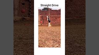 Straight Drive 😄 Cricket Shorts #viral #video #cricket #cricketshorts #batting #shot #shorts