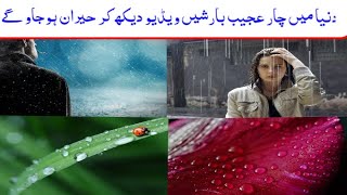 - 4 Most unusual Rains in the world دنیا میں 4 عجیب و غریب بارش