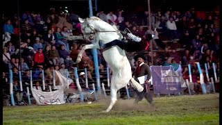 34º Fiesta Nacional del Puestero - Junín de los Andes