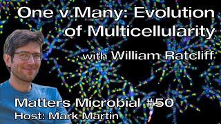 Matters Microbial #50: One versus many, the evolution of multicellularity