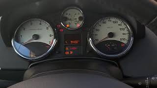 2007 Peugeot 207 1.4 16V  start up.