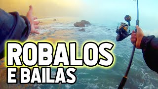 ROBALOS e BAILAS ao SPINNING | Pesca ao spinning Portugal