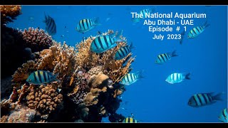 The National Aquarium Episode # 1 I  4K  I  60 fps #travel #travelvideo #travelvlog #aquarium