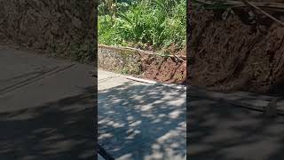 PEMBANGUNAN JALAN RABAT COR BETON #shorts #videoshortsyoutube #youtuberpemuladaridesa