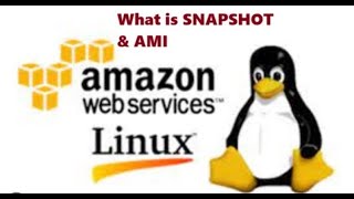 2024 06 30 AWS & Linux Session - What is Snapshot & AMI Theory + LAB