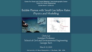 Bubble Plumes with Small Gas Inflow Rates—Physics and Modelling