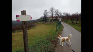 Escursione da San Grato (Monteu Roero) sul Sentiero dell'Acqua 08_01_2023