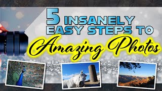 Series #2: Composing Great Photos... 5 SUPER EASY to get great photos!