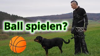 Ist Ball spielen schädlich für Deinen Hund?