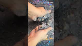 shorts Gym Chalk Dyed Crushing 19 ASMR