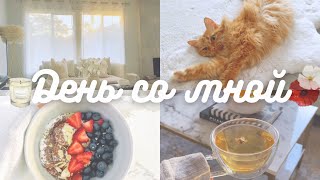 VLOG I День со мной I Уютный домашний влог, новая мебель, покупки для дома, делаю кулер для вина