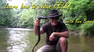 How To Clean EELS - Ken Beam shows how to clean EELS in New Jersey