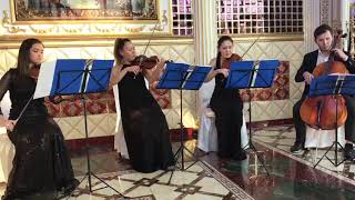 Квартет струнный Royal music Алматы, скрипачки  Музыканты на встречу