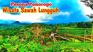 Tempat Wisata Terbaru Di Ponorogo WSL (Wisata Sawah Lungguh) Desa Bareng Pudak