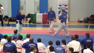 Nanbudo Stage Sesto San Giovanni 2013 M4H03086