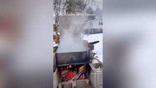 2023 wisconsin maple syrup season