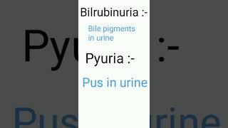 # urine terminology # key terms # MLT #/❤️