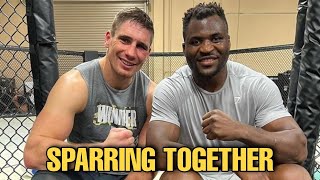 Francis Ngannou brings in Rico Verhoeven to help vs Ciryl Gane