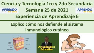 Ciencia y Tecnología 1ro y 2do Secundaria, Explico cómo nos defiende el sistema inmunológico cutáneo