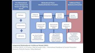 IMV model of suicidal behaviour