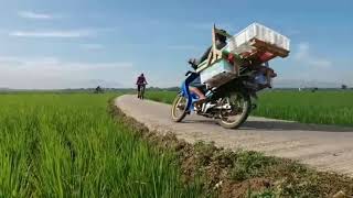 INDAHNYA GOWES DI PESAWAHAN