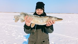 ЭКСТРЕМАЛЬНАЯ РЫБАЛКА на ЩУКУ Наловили гору рыбы