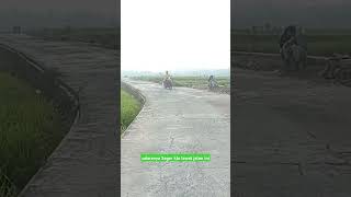 Jalan sawah #cover #garut #shortvideo #storywa #shorts #fypシ゚viral #wisataalam #garututara