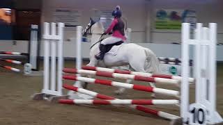 Jumping jazz flash winning 80cm open