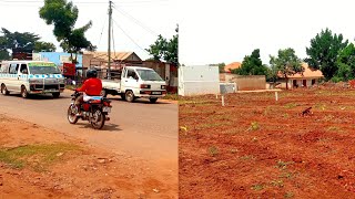 Plots for sale in nakwero touching termac road 100 by 50 at 75m ugx