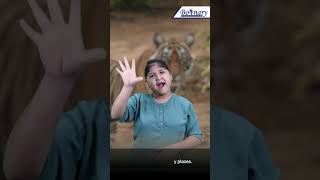 Boonary Foundation Short Quiz | Animal GK | Quick ISL Question for Deaf.