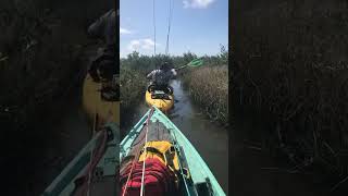 Sometimes you have to paddle through grass! #shortsfeed #kayakfishing #shortsviral #shortsvideo